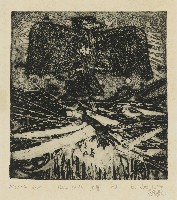 藏品(黑鷹)的圖片