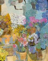 藏品(溫室)的圖片