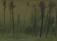 藏品(樹)的圖片