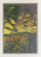 藏品(窗2863)的圖片