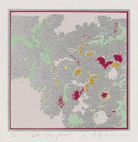 藏品(花曲)的圖片