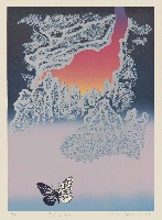 藏品(夢蝶)的圖片