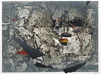 藏品(幻覺IV)的圖片