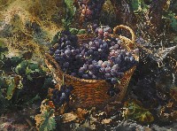 藏品(靜物)的圖片