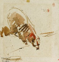 藏品(冰天雪地的王者-動物園裡的白熊)的圖片