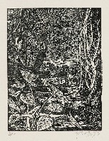 藏品(郊野)的圖片