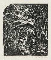 藏品(山溪)的圖片