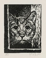 藏品(貓)的圖片