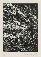 藏品(刮風了)的圖片