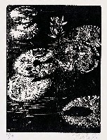 藏品(蓮池)的圖片