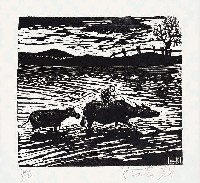 藏品(涉水)的圖片