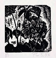 藏品(大理花)的圖片