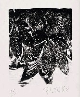 藏品(綠蔭)的圖片