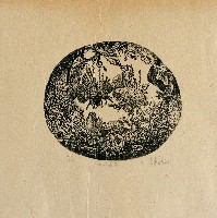 藏品(水族系列)的圖片