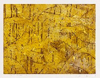 藏品(飄)的圖片