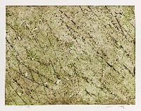 藏品(秋思)的圖片