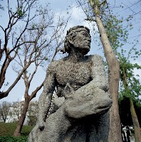 藏品(守望)的圖片