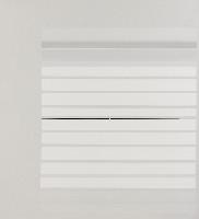 藏品(第一個夏天1969年)的圖片