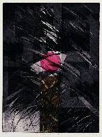 藏品(徵候- II)的圖片