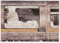 藏品(犧牲前進- 90125)的圖片