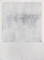 藏品(白中白II)的圖片