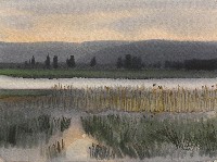 藏品(風景)的圖片