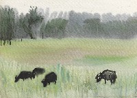 藏品(風景)的圖片