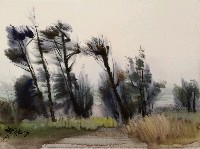 藏品(風景)的圖片