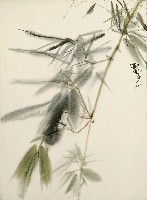 藏品(竹)的圖片