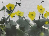 藏品(花(絲瓜花))的圖片