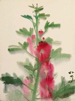 藏品(花(蜀葵))的圖片