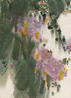 藏品(花)的圖片