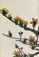 藏品(木棉花)的圖片