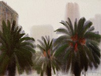 藏品(樹)的圖片