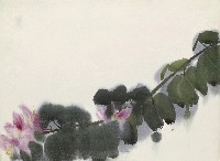 藏品(羊蹄甲花)的圖片