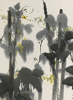 藏品(黃花)的圖片