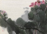 藏品(羊蹄甲花)的圖片