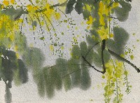 藏品(黃花)的圖片