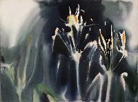 藏品(花)的圖片