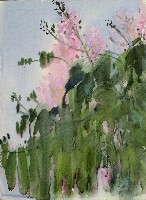 藏品(粉色花)的圖片