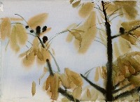 藏品(黃葉)的圖片