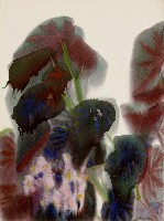 藏品(海棠)的圖片