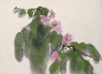 藏品(紫花)的圖片