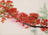 藏品(鳳凰木)的圖片