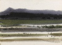 藏品(景)的圖片