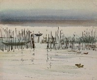 藏品(鴨)的圖片