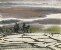 藏品(水田)的圖片