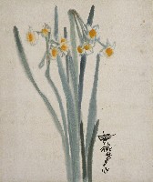 藏品(水仙)的圖片