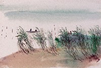 藏品(河邊)的圖片