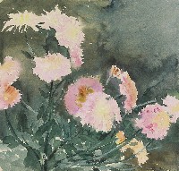 藏品(花(康乃馨))的圖片